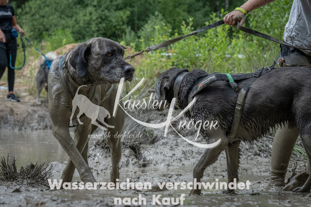 1103_ZZ91646 | kk-dogfotos