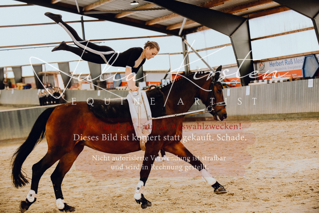DSC_6865 | Pferde- und Turnierfotografie in Westsachsen. Pferdeportraits, Auftragszeichnungen und intuitive Kunst.