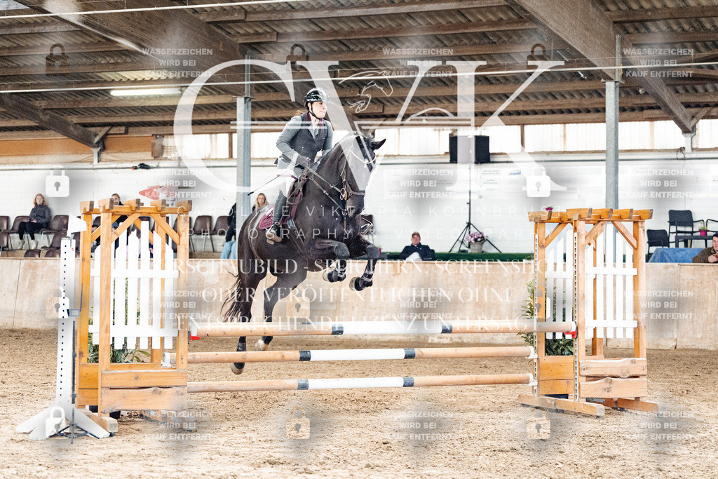 CK904687 | Turnierfotografie Pferdefotografie Trier Rheinland-Pfalz Pferdesport Reitsport Tierfotografie Sportfotografie Pferdevideo Pferdevideografie Equestrianvideography equestrianphotography  - Realized with Pictrs.com