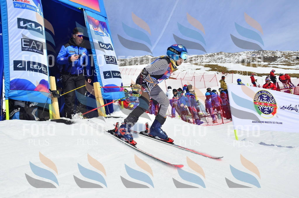 _ELE1565 | holidayphoto