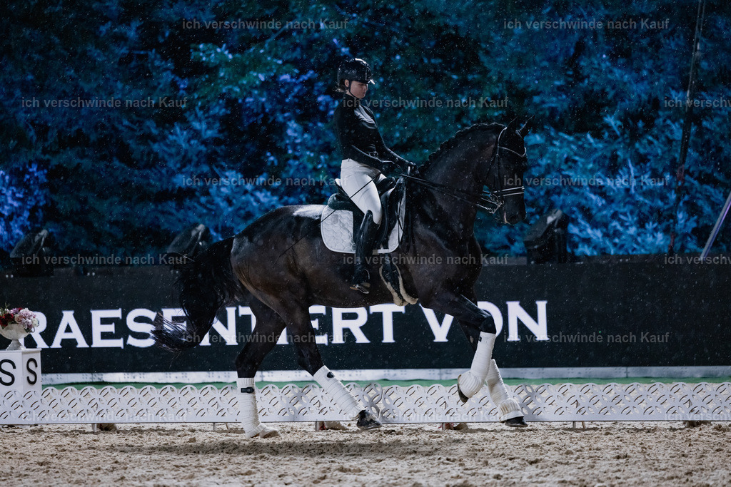 FHClassics-112 | working equitationturnier fotograf videograf stoibphotography marixx film working equitation deutschland reitsport turnierfotografie eventfotografie equestrian events