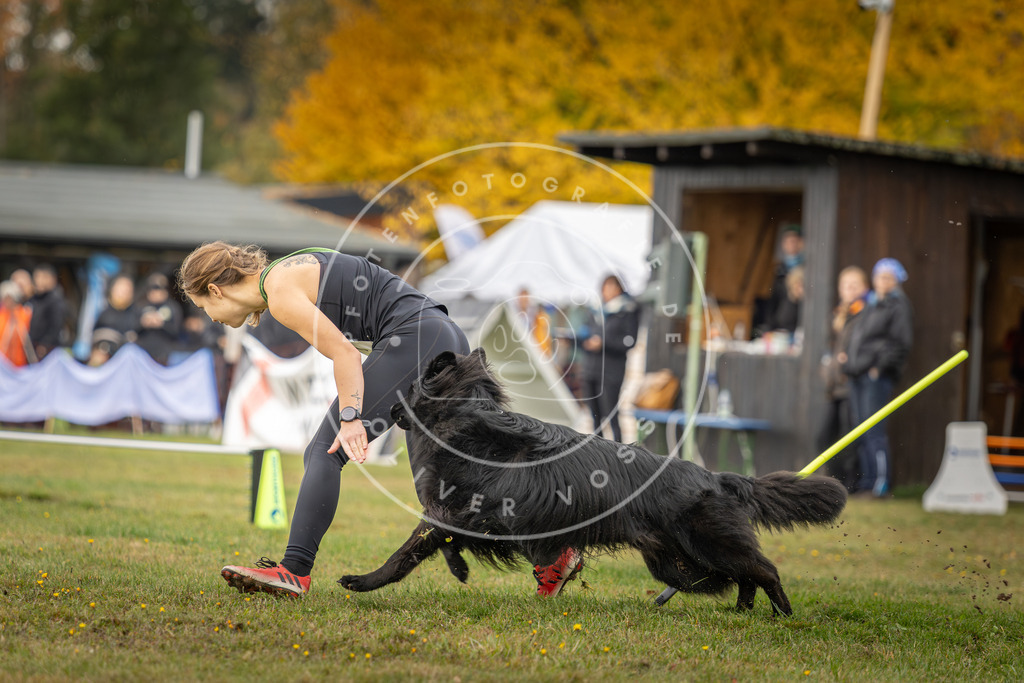 Pfotenfotografie_DV3A2975 | Hundefotografie, Tierfotograf, Pfotenfotografie, Fotoshooting Hund, Hunde Portrait, Hundesport, Hundeportraits, Heideshooting, Hunde, Sportfotograf, Hundefotograf, Turnierhundsport, THS,  - Realisiert mit Pictrs.com