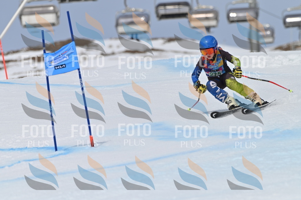 BGV_5458 | holidayphoto