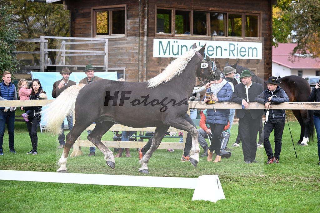 Kat-Nr. 48 Harmonie v. Veitel_Lamecker_41251154 | hf-fotografie - Realizzato con Pictrs.com
