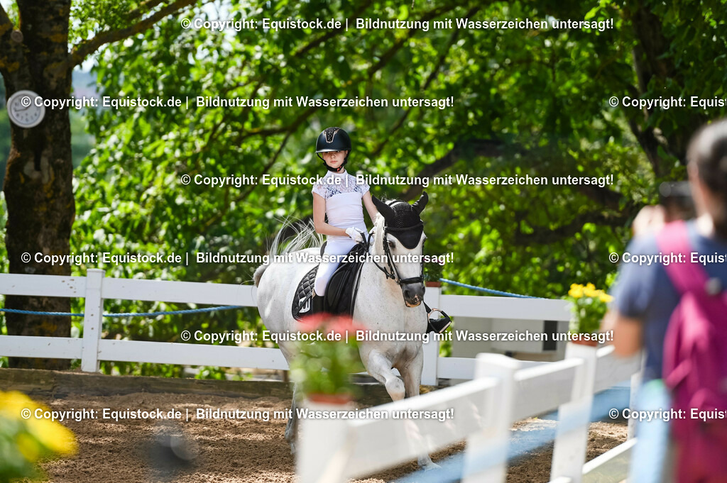 20230715_09_Dressur-WB_0062 | equistock