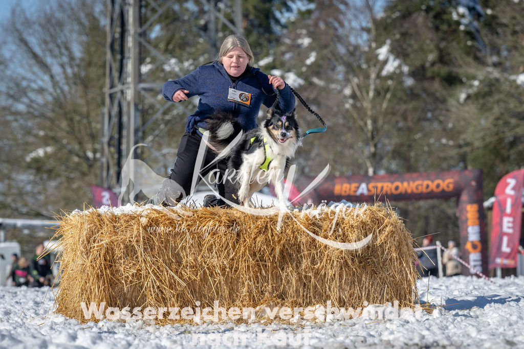 1120_ZZ91623-3 | kk-dogfotos