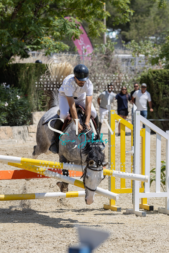 IMG_8038 | s-jay-photography - Realisiert mit Pictrs.com