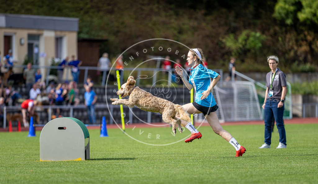 Pfotenfotografie_DV3A1055 | Hundefotografie, Tierfotograf, Pfotenfotografie, Fotoshooting Hund, Hunde Portrait, Hundesport, Hundeportraits, Heideshooting, Hunde, Sportfotograf, Hundefotograf, Turnierhundsport, THS,  - Realisiert mit Pictrs.com