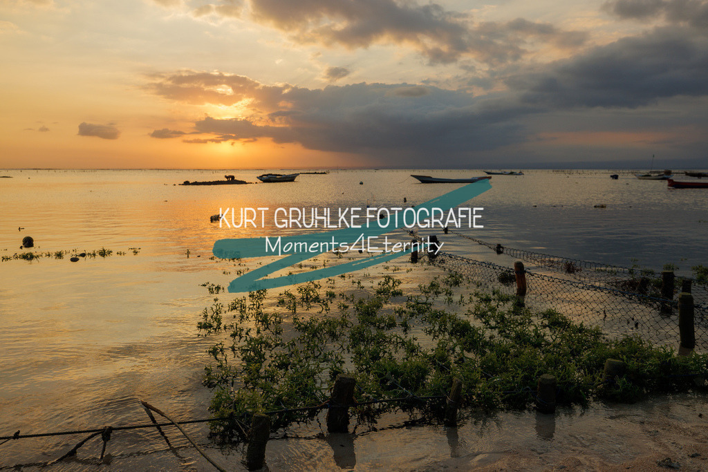 230723-2528 | onlinegalerie und Fotoshop Kurt Gruhlke Fotograf Berlin
Hochzeitsfotograf Eventfotograf Portraitfotografie
 - Realisiert mit Pictrs.com