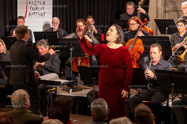 Neujahrskonzert | Bildershop von pixelworld.at - Realisiert mit Pictrs.com