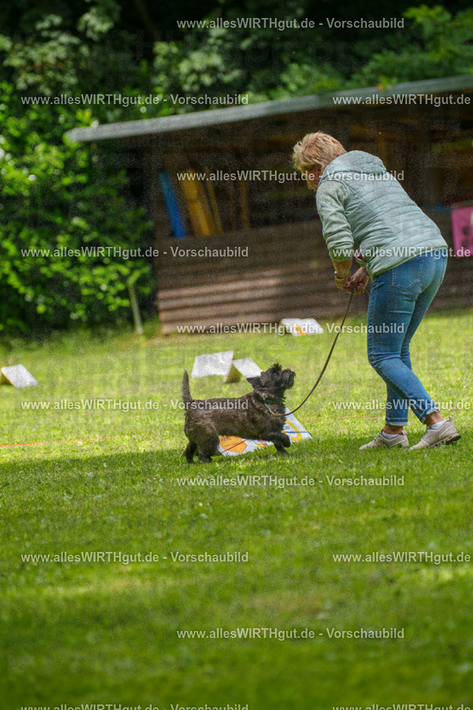 @allesWIRTHgut_Tierfotografie - www.allesWIRTHgut.de - 7R504436 | Professionelle Tierfotografie in Mönchengladbach von Daniel Wirth (allesWIRTHgut). Liebevolle & natürliche Bilder von Hunden & Katzen für unvergessliche Erinnerungen.