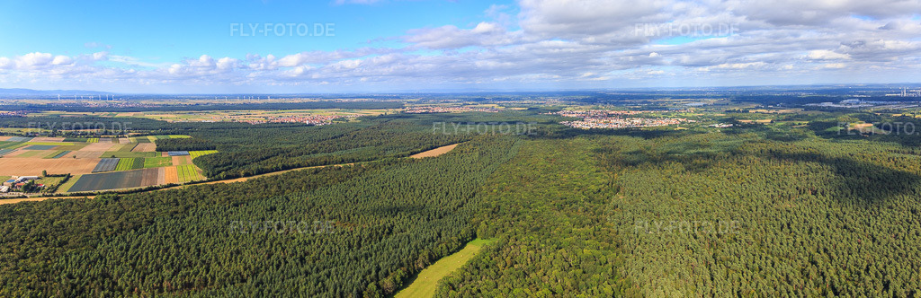 Luftbild: Panorama einer Otterbach-Lichtung im Bienwald Richtung Jockgrim in Kandel im Bundesland Rheinland-Pfalz in Deutschland. Foto: IMG_093353-Pano.jpg vom 22.08.2016 durch Werner Riehm/FLY-FOTO.deAuflösung des Originals: 8666 x 2813 px