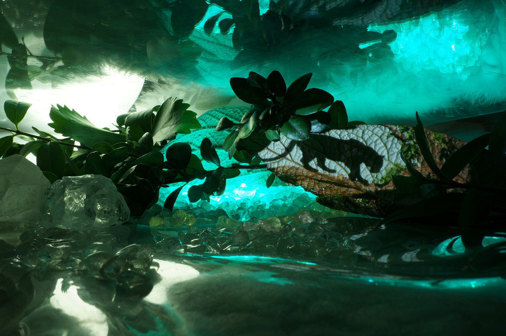 Jaguar | cornelia-geissler - Realisiert mit Pictrs.com