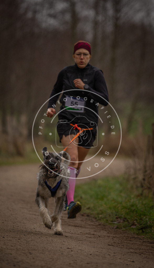 Pfotenfotografie_DV3A3029 | Hundefotografie, Tierfotograf, Pfotenfotografie, Fotoshooting Hund, Hunde Portrait, Hundesport, Hundeportraits, Heideshooting, Hunde, Sportfotograf, Hundefotograf, Turnierhundsport, THS,  - Realisiert mit Pictrs.com