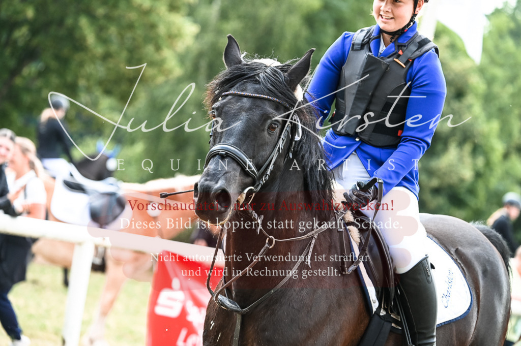 DSC_8987 | Pferde- und Turnierfotografie in Westsachsen. Pferdeportraits, Auftragszeichnungen und intuitive Kunst.