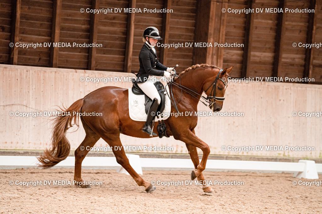 Dressur Tag 3-401 | dv-media-shop - Realisiert mit Pictrs.com