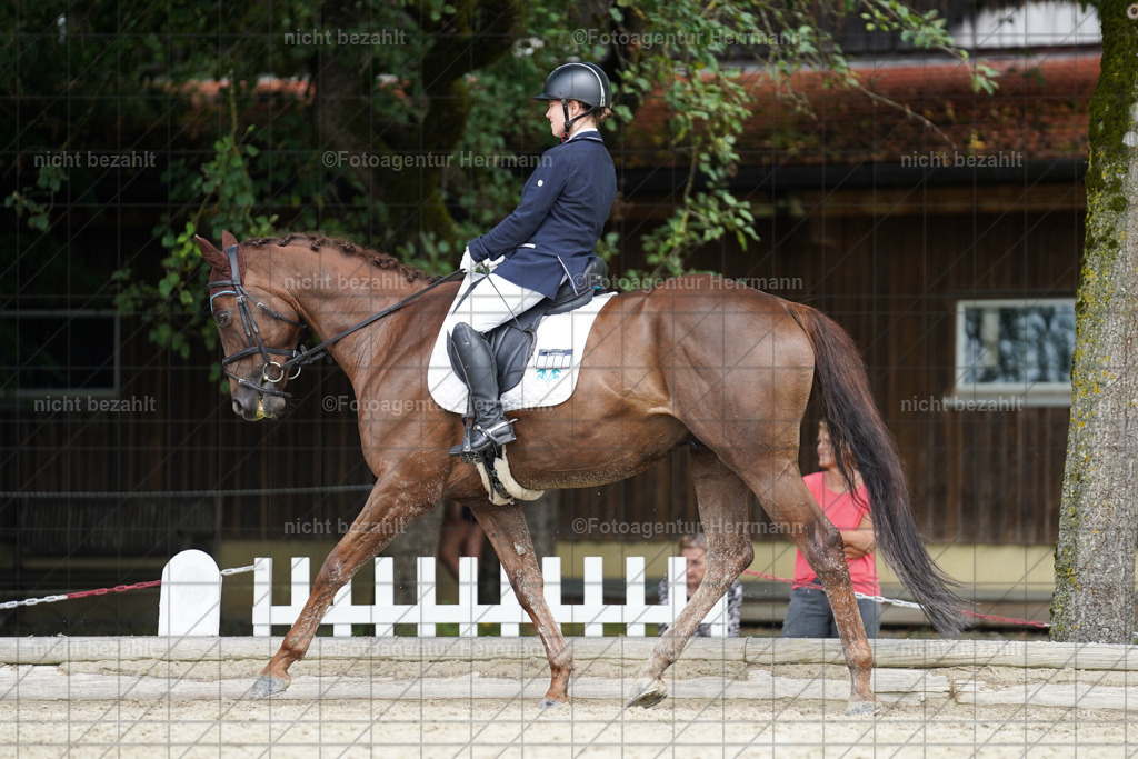 20230826-FAH05343 | Forstinning, 2023, Dressurturnier, Turniersportbilder, Turnierfotografen Bayern, Fotoagentur Herrmann, Reitsportfotografie, Turnierbilder