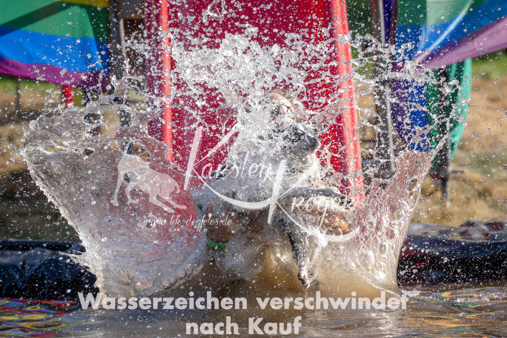 1714_ZZ93996 | kk-dogfotos