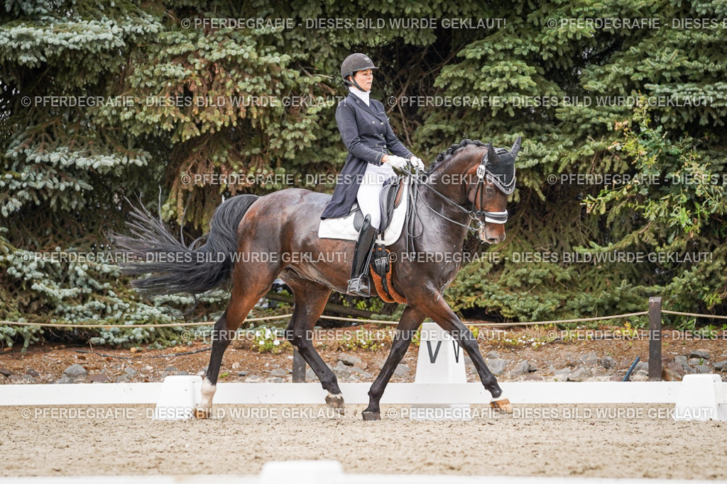 DSC06750 | Pferdegrafie