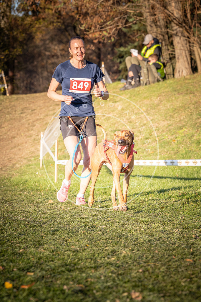 CaniXpix_0L8A0800 | Hundefotografie, Tierfotograf, Pfotenfotografie, Fotoshooting Hund, Hunde Portrait, Hundesport, Hundeportraits, Heideshooting, Hunde, Sportfotograf, Hundefotograf, Turnierhundsport, THS,  - Realisiert mit Pictrs.com