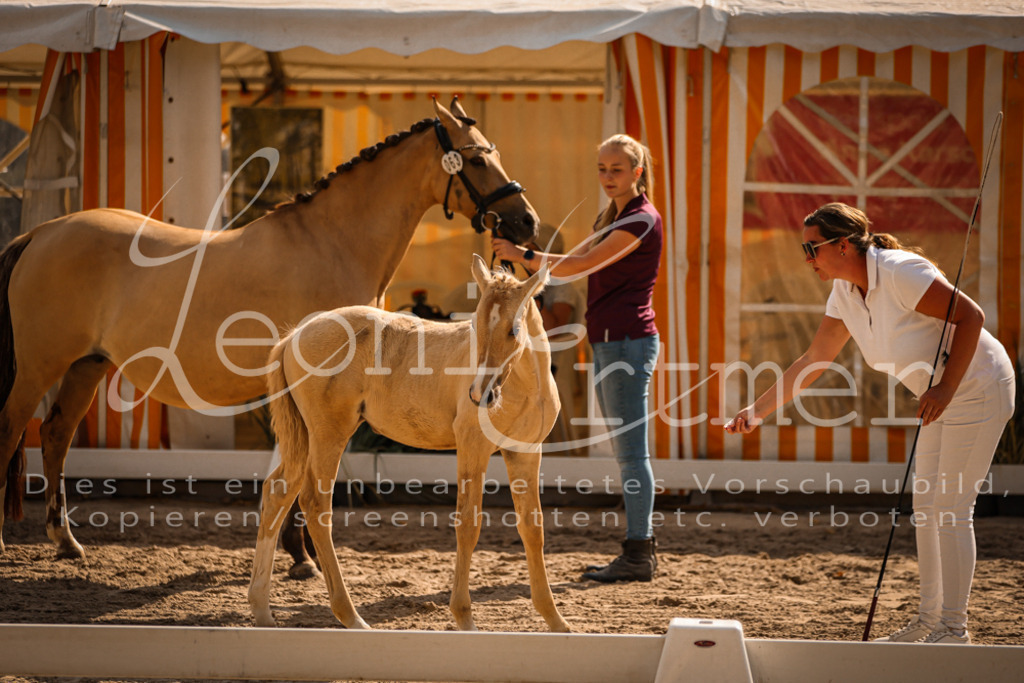 10.DoRP00183 | Leoni Ertmer Photography - Realisiert mit Pictrs.com