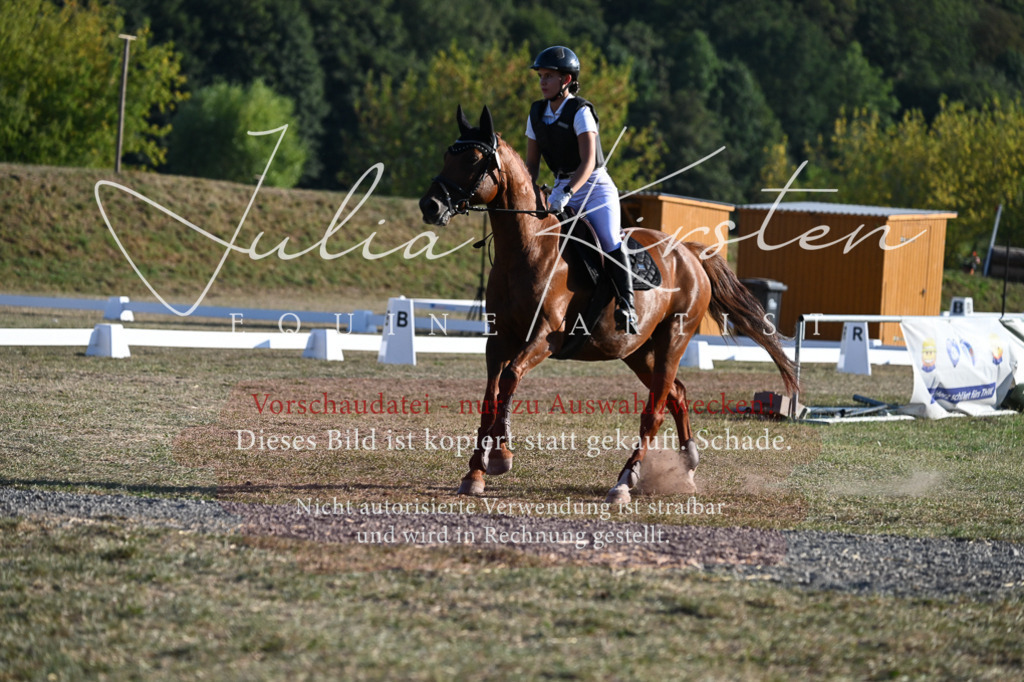 DSC_9046 | Pferde- und Turnierfotografie in Westsachsen. Pferdeportraits, Auftragszeichnungen und intuitive Kunst.