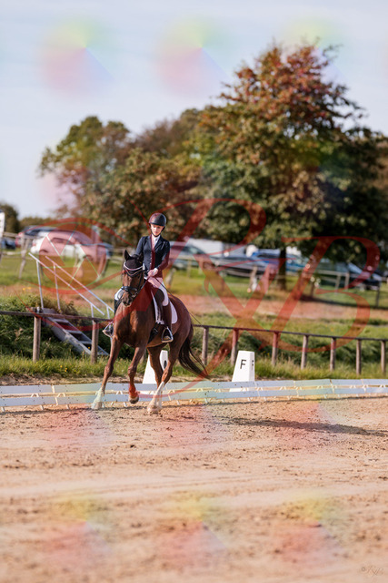 2026_10_03_Siefer-Hof_114926_Z81_89391081 | Professionelle Reitsport-, Turnier- und Eventfotografie von Robert Broda. Galerien mit ausgewählten und bearbeiteten Bildern direkt online ansehen und bestellen.