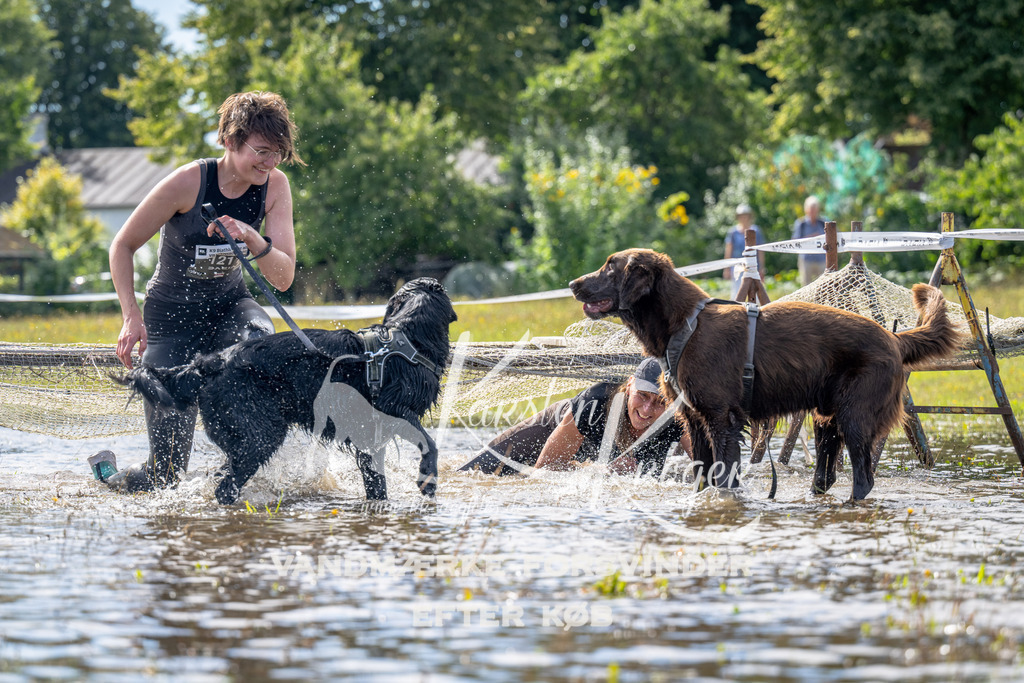 1218_ZZ93611 | kk-dogfotos