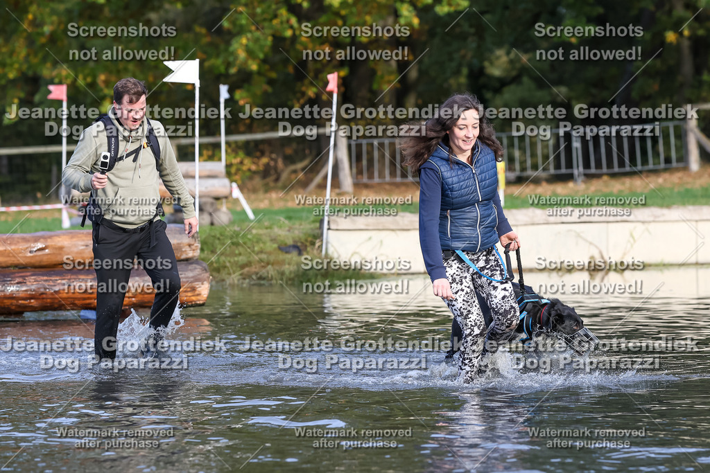 Dog Paparazzi - Strongdog 10-25-8322 | Dog Paparazzi Jeanette Grottendiek Fotografie & Videografie - Realisiert mit Pictrs.com