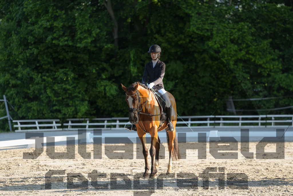 DSC02633 | Julian Held Fotografie - Realisiert mit Pictrs.com