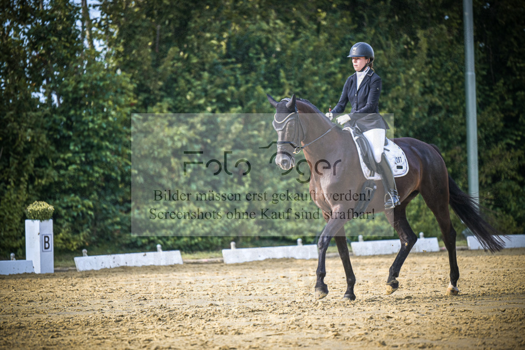 DOS_0983 | Entdecke hochwertige Reitturnierfotos von Foto Oger. Professionell, emotional und authentisch – jetzt Lieblingsmomente im Shop bestellen.Deutschlandweite Turnierfotografie. - Realisiert mit Pictrs.com
