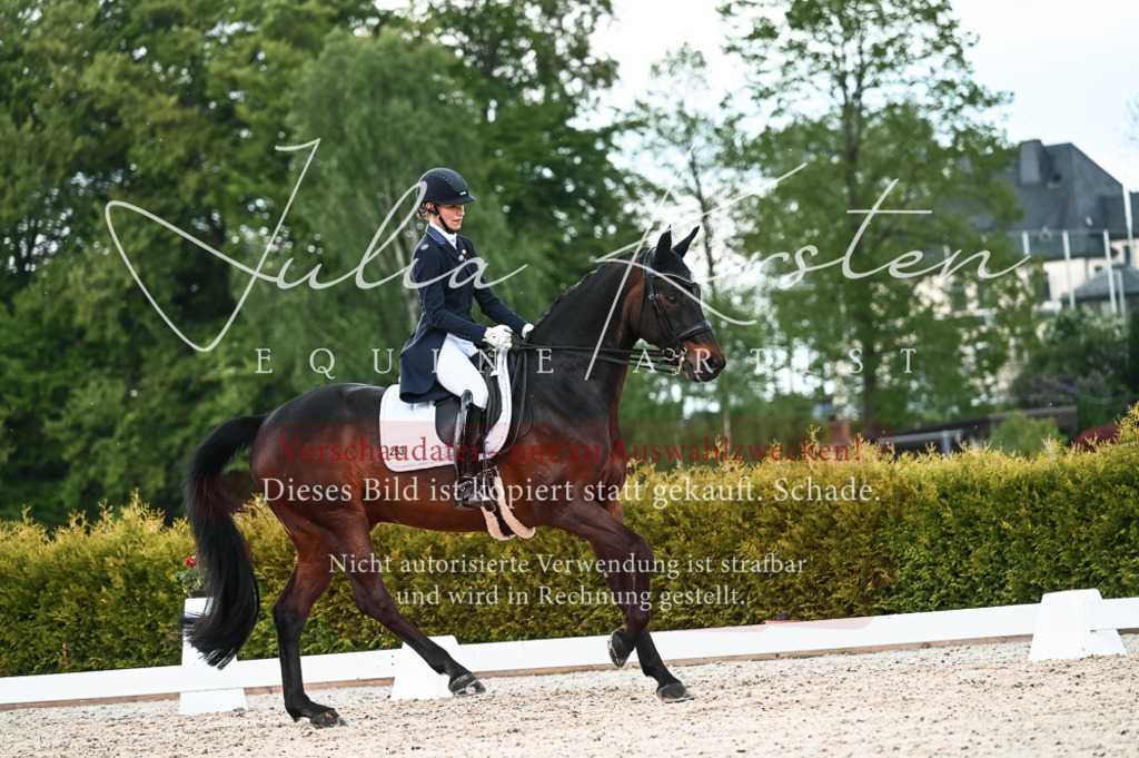 20230514_JK-Röhrsdorf-21-347 | Pferde- und Turnierfotografie in Westsachsen. Pferdeportraits, Auftragszeichnungen und intuitive Kunst.
