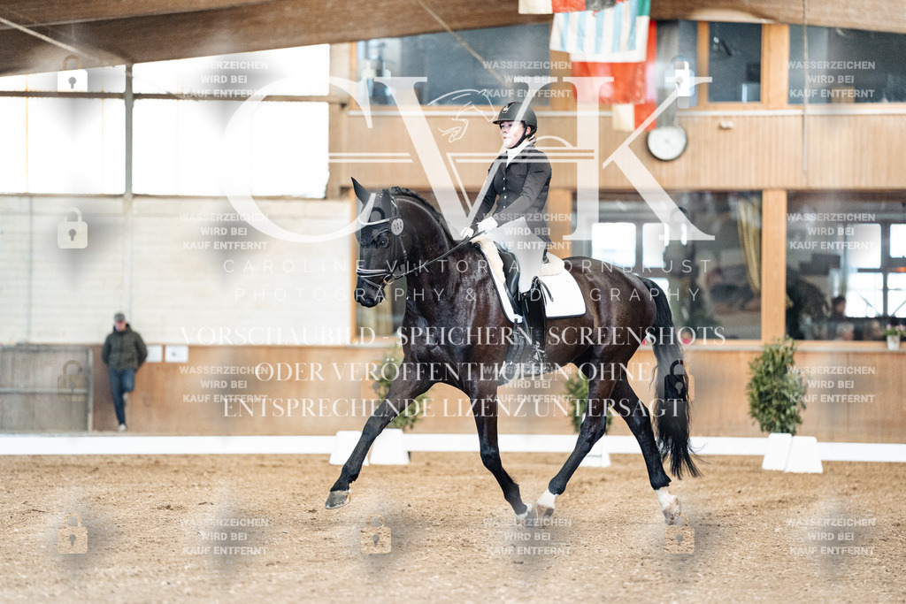 CK900652 | Turnierfotografie Pferdefotografie Trier Rheinland-Pfalz Pferdesport Reitsport Tierfotografie Sportfotografie Pferdevideo Pferdevideografie Equestrianvideography equestrianphotography  - Realisiert mit Pictrs.com