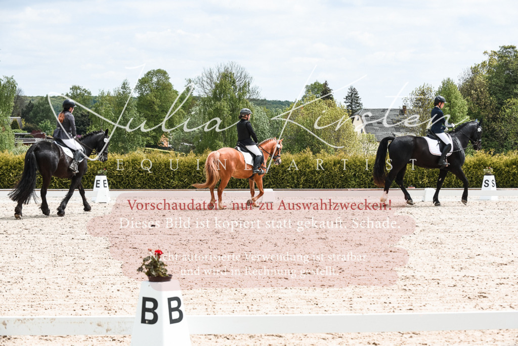 20230518_JK-Röhrsdorf-11-0062 | Pferde- und Turnierfotografie in Westsachsen. Pferdeportraits, Auftragszeichnungen und intuitive Kunst.