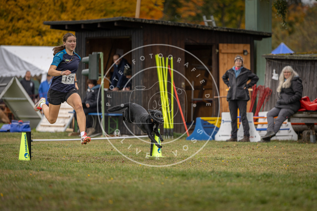 Pfotenfotografie_DV3A4953 | Hundefotografie, Tierfotograf, Pfotenfotografie, Fotoshooting Hund, Hunde Portrait, Hundesport, Hundeportraits, Heideshooting, Hunde, Sportfotograf, Hundefotograf, Turnierhundsport, THS,  - Realisiert mit Pictrs.com