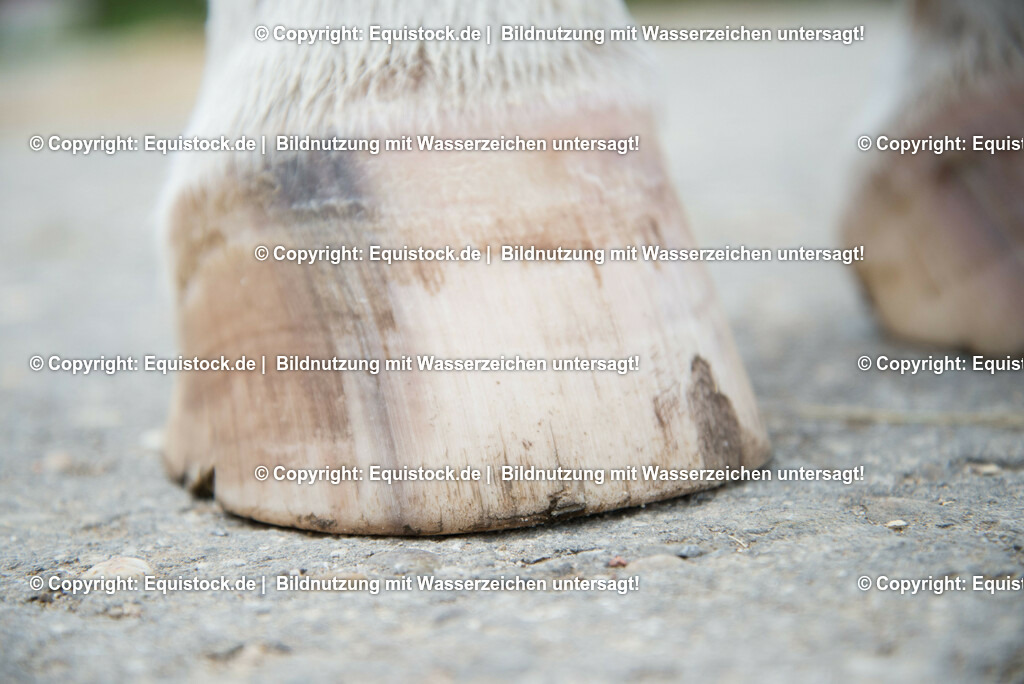 20160626_Ausgefranster_Tragerand_0001 | Foto: Thomas Hartig