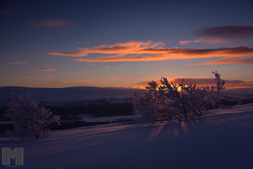 Tänndalen im Abendlicht | Landschafts- und Tierfotografie zu allen Jahreszeiten. Und immer die Schönheit des Lichtes im Auge... - Realisiert mit Pictrs.com