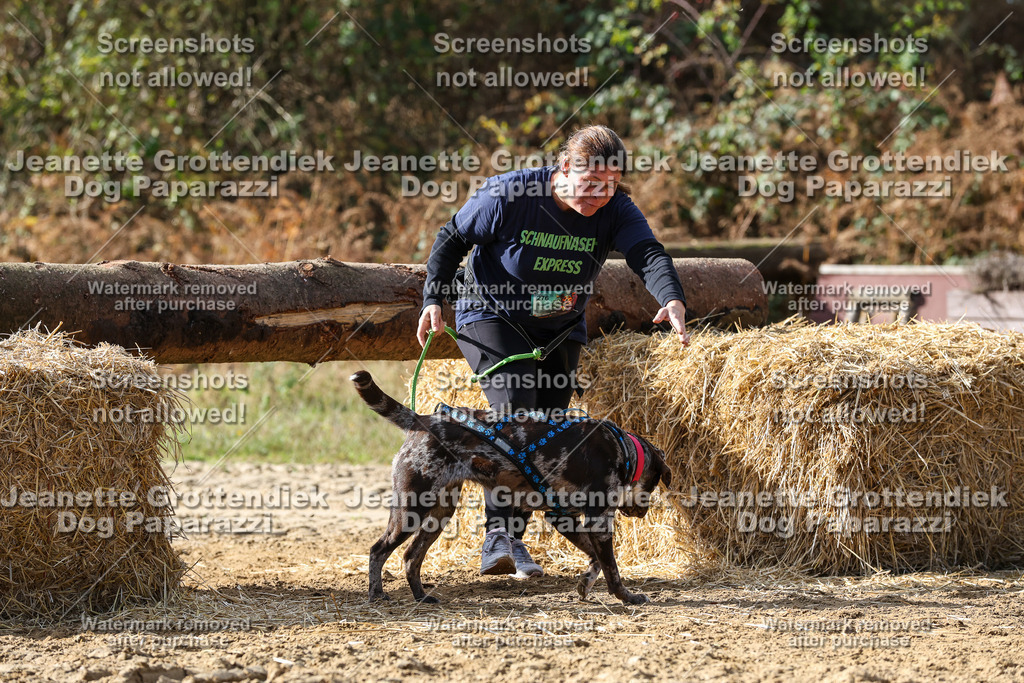 Dog Paparazzi - Strongdog 10-25-5311 | Dog Paparazzi Jeanette Grottendiek Fotografie & Videografie - Realisiert mit Pictrs.com