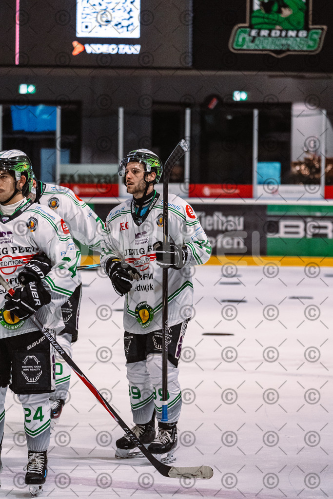 Erding_vs_Alligators_02_01_2026-88 | Höchstadt Alligators Fotogalerie: Eishockey-Action aus Franken. Professionelle Spielfotos, Portraits & Stadionbilder zum Download. Jetzt entdecken! - Realisiert mit Pictrs.com