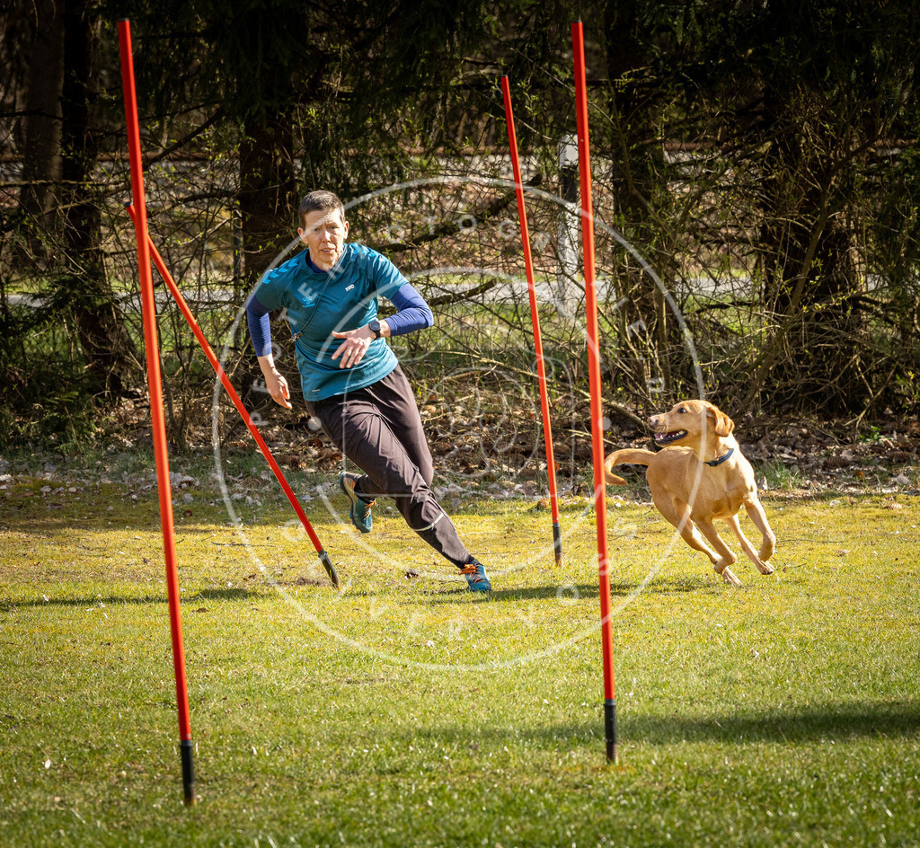 Pfotenfotografie_DV3A1374 | Hundefotografie, Tierfotograf, Pfotenfotografie, Fotoshooting Hund, Hunde Portrait, Hundesport, Hundeportraits, Heideshooting, Hunde, Sportfotograf, Hundefotograf, Turnierhundsport, THS,  - Realisiert mit Pictrs.com