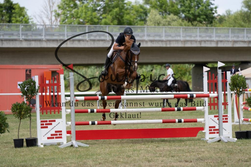 A7V02288 | Pferdefotograf