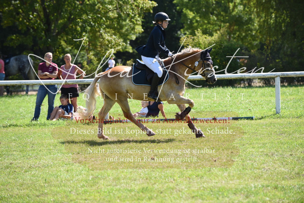 DSC_9515 | Pferde- und Turnierfotografie in Westsachsen. Pferdeportraits, Auftragszeichnungen und intuitive Kunst.