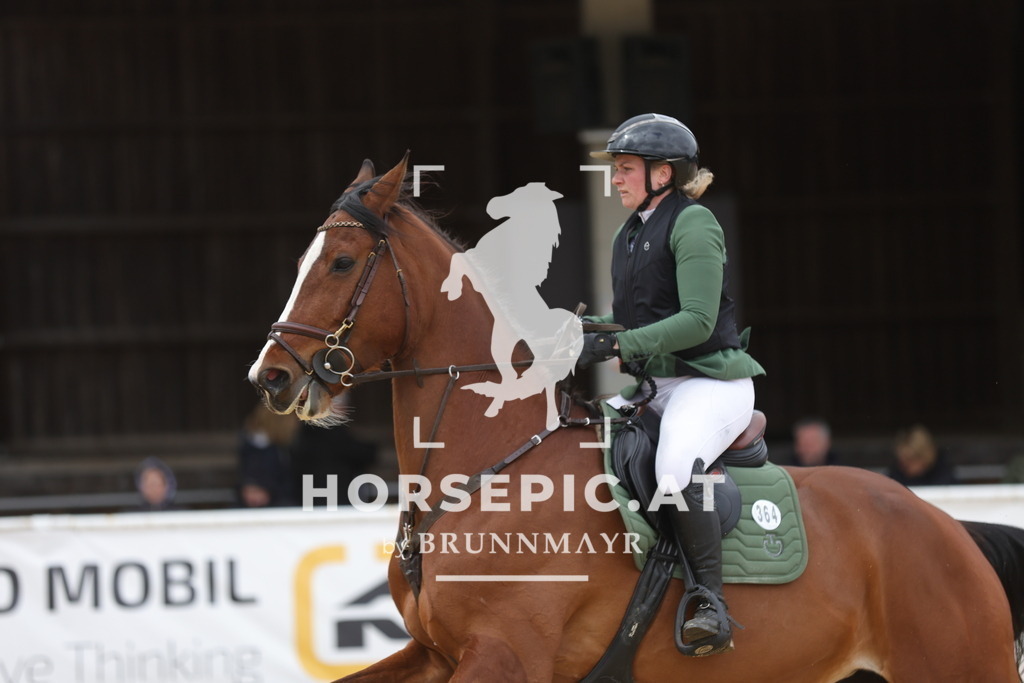 0P6A3228 | Willkommen bei Brunnmayr - Design & Fotografie – Ihrem Spezialisten für Reitturniere und Pferdeveranstaltungen in Oberösterreich, Salzburg und Bayern! Seit über 17 Jahren sind wir leidenschaftlich dabei.