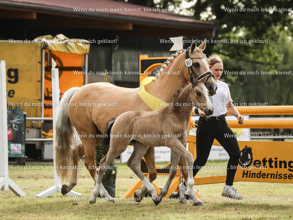 598A2611-2 | photographylinaismer - Realisiert mit Pictrs.com