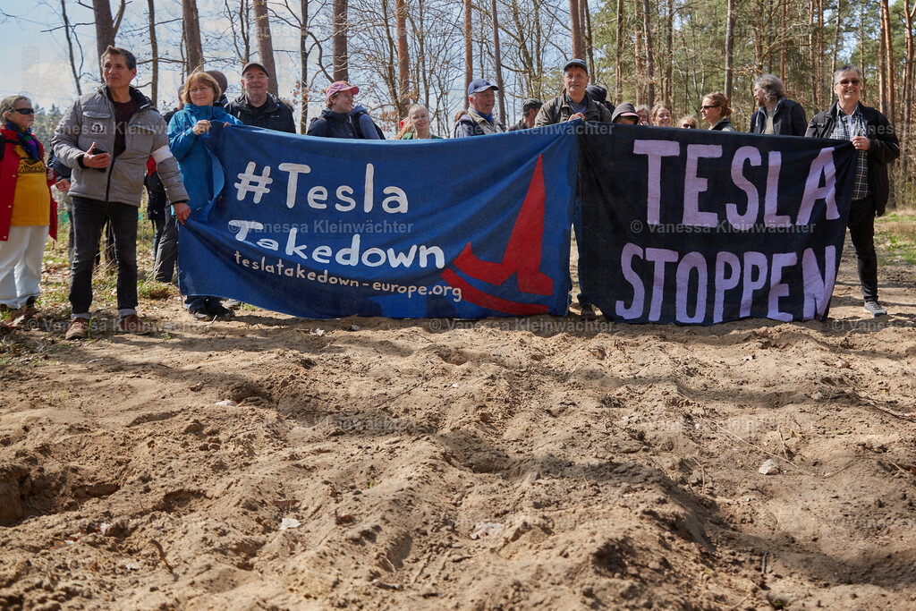 250412_TeslaWaldspaziergang_00032 | Vanessa Kleinwächter - Realisiert mit Pictrs.com