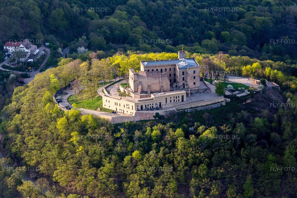 Luftbild: Oberhambach, Hambacher Schloss im Ortsteil Diedesfeld in Neustadt im Bundesland Rheinland-Pfalz in Deutschland. Foto: IMG_106594.jpg vom 17.04.2018 durch Werner Riehm/FLY-FOTO.de