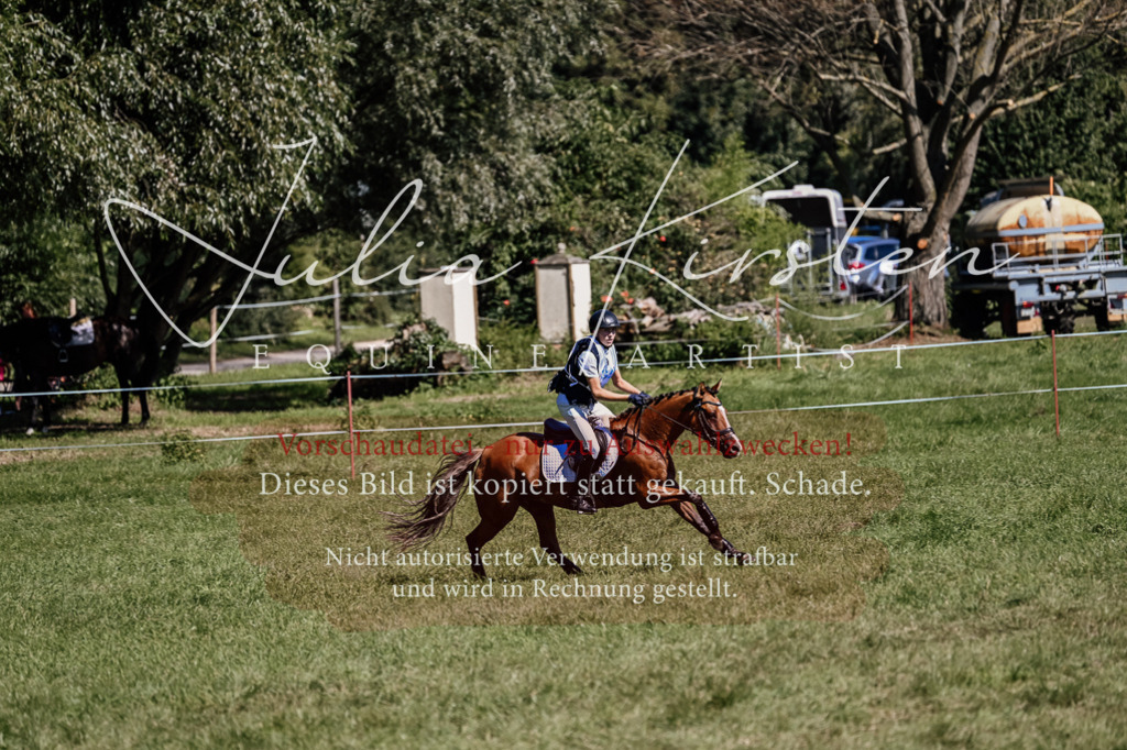 DSC_2103 | Pferde- und Turnierfotografie in Westsachsen. Pferdeportraits, Auftragszeichnungen und intuitive Kunst.
