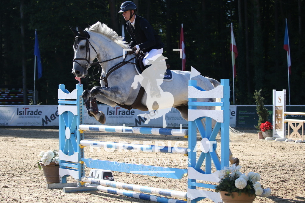 DL2Q1652 | Willkommen bei Brunnmayr - Design & Fotografie – Ihrem Spezialisten für Reitturniere und Pferdeveranstaltungen in Oberösterreich, Salzburg und Bayern! Seit über 17 Jahren sind wir leidenschaftlich dabei.