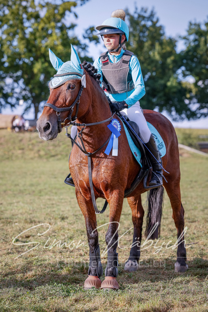 20250905-_3LI2455 | Tierfotografie Pferde, Hunde, Katzen, Haustiere.
Turnierfotografie Reitturniere, Reiten, Springreiten, Dressur in Hanau, dem Main-Kinzig-Kreis und dem Rhein-Main- Gebiet um Frankfurt