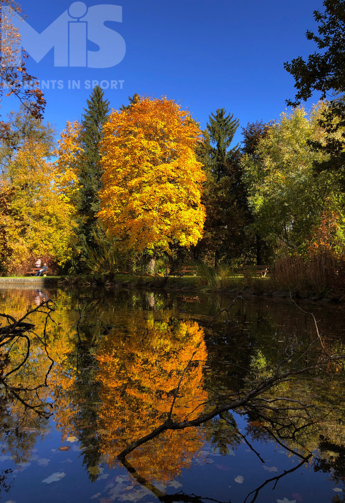 mis310719RF02.JPG | 24.10.2021, Herbst in Bad Wörishofen im Unterallgäu. Die Laubbäume im Kurpark leuchten trotz gestrigen Herbststurmes noch in allen goldenen Farben. - Realisiert mit Pictrs.com